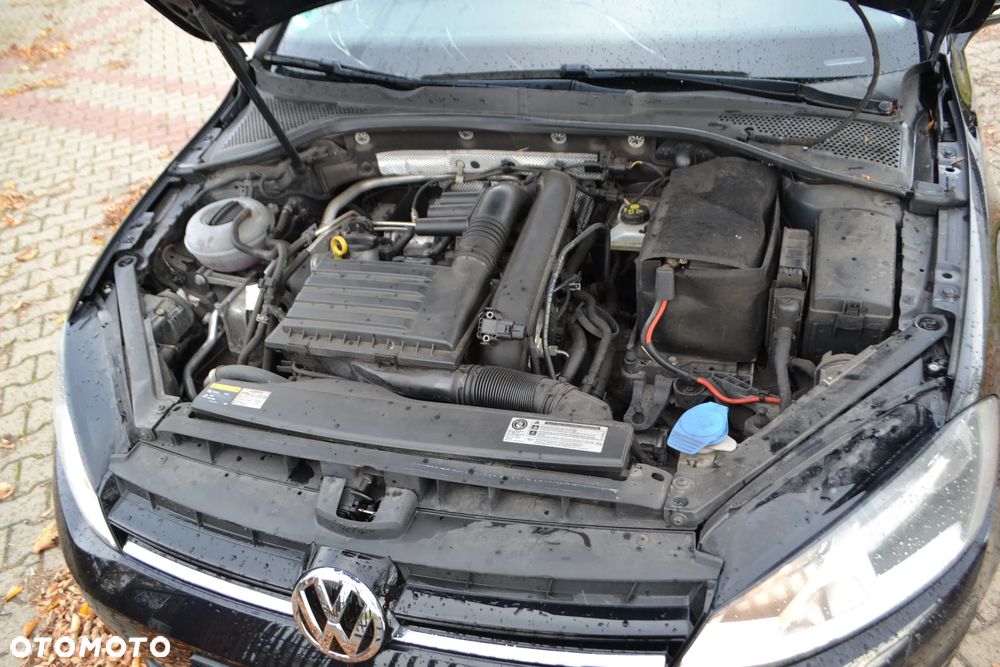 Volkswagen Golf - 8