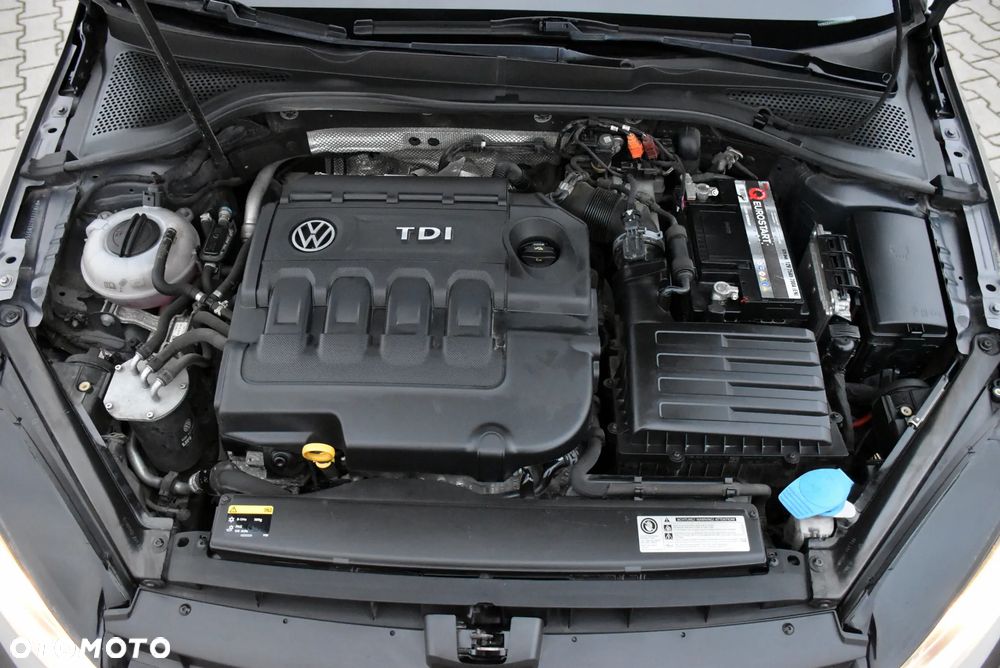 Volkswagen Golf 1.6 TDI BlueMotion Technology Cup - 35