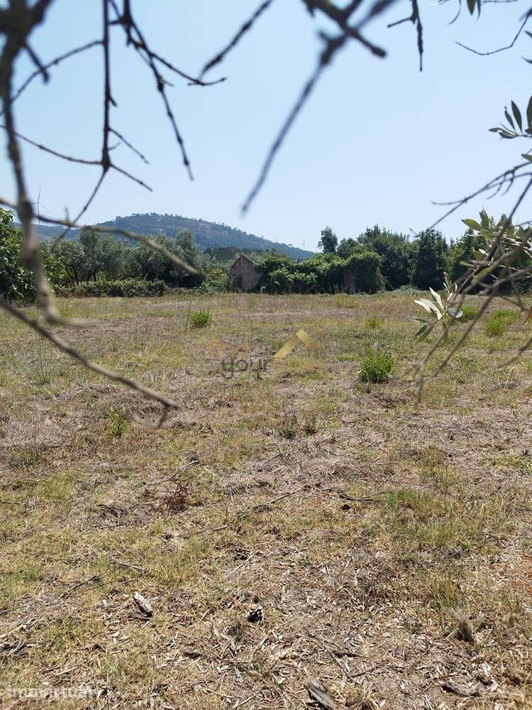 Terreno Urbano com 2.608m² em Moleanos - Grande imagem: 2/9