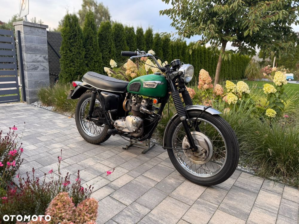 Triumph Trophy - 7