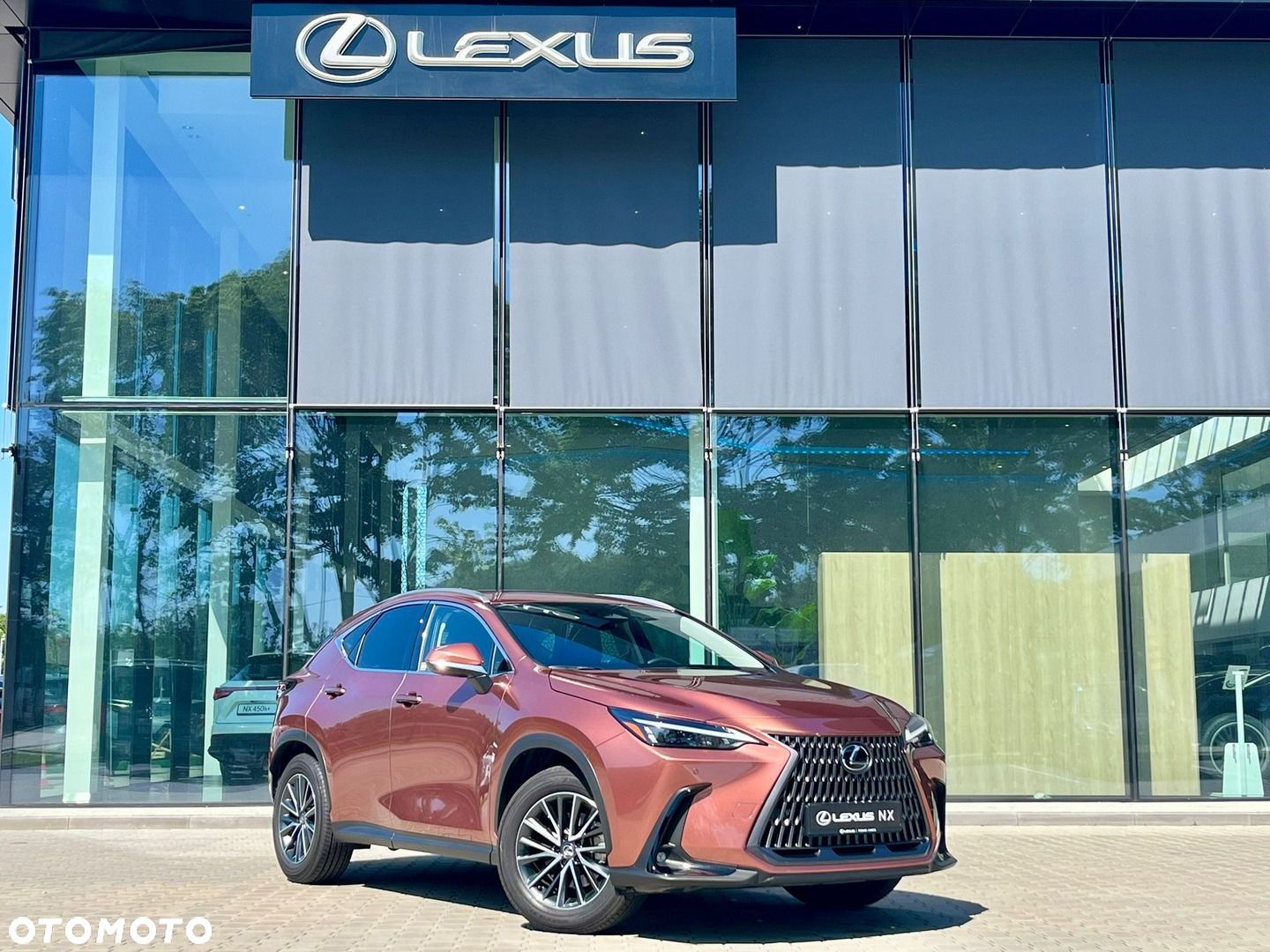 Lexus NX - 1