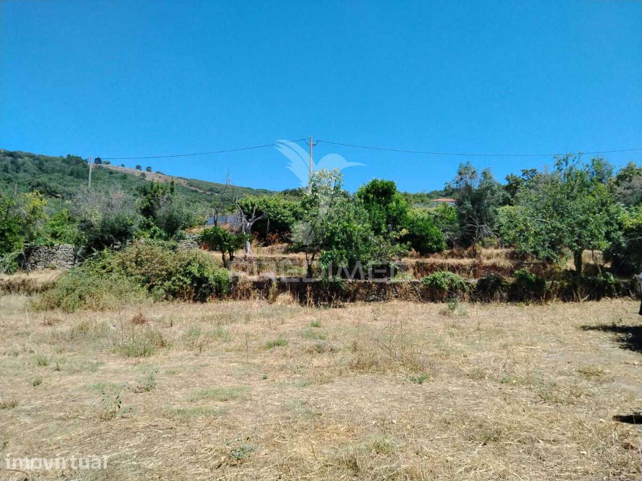 Terreno - Grande imagem: 2/4