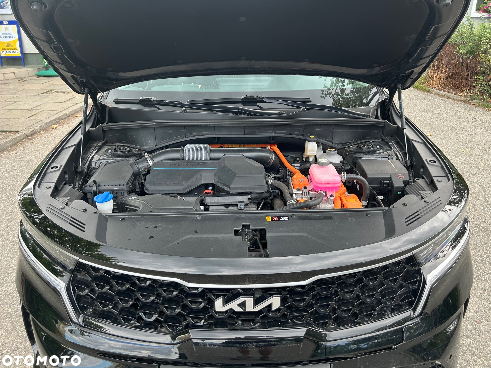 Kia Sorento 1.6 T-GDI HEV XL 4WD 7os - 7