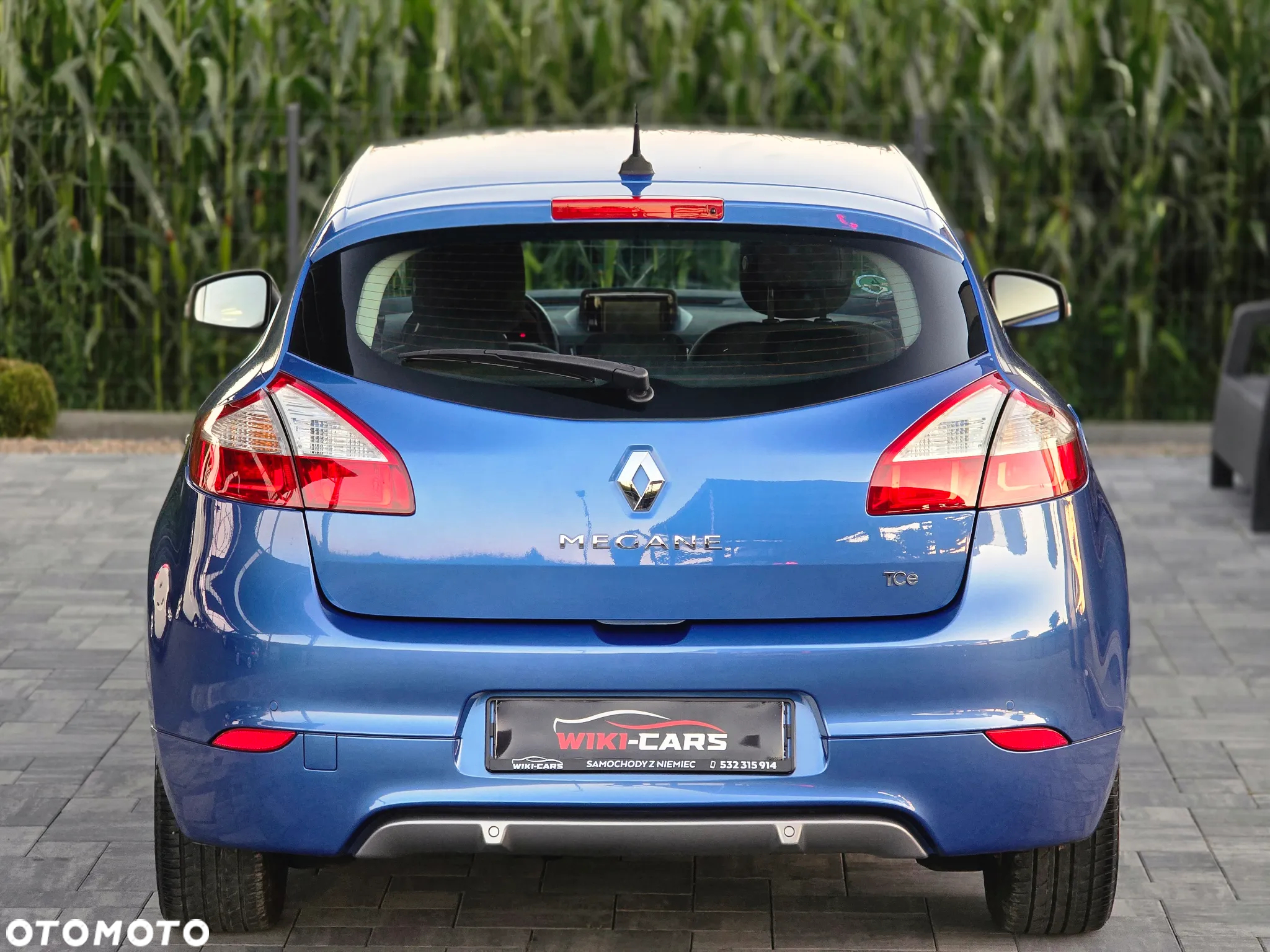 Renault Megane 1.2 16V TCe Energy Limited - 15