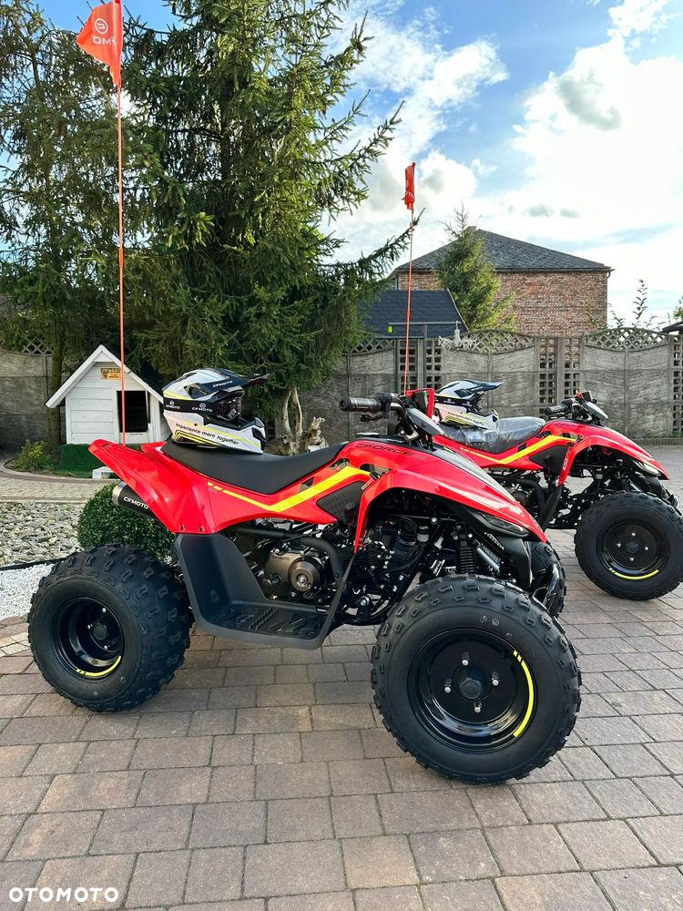 CFMoto CForce - 19