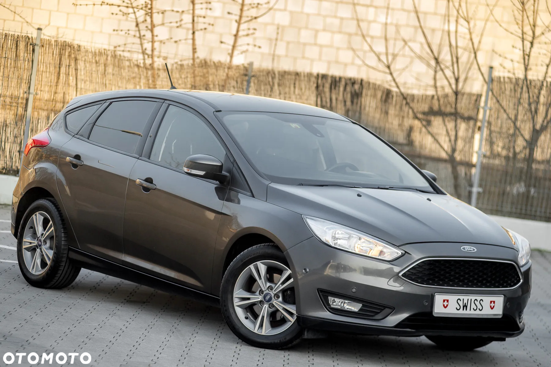 Ford Focus - 4