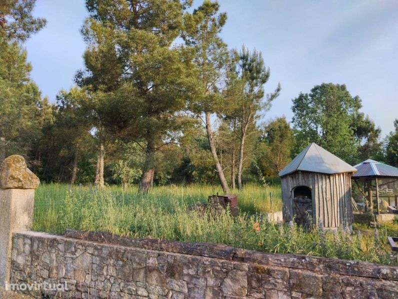 Terreno Rústico 7385 m2 - LAMOSA - SERNANCELHE - Grande imagem: 4/12