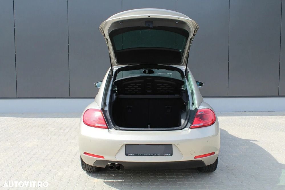 Volkswagen Beetle - 4