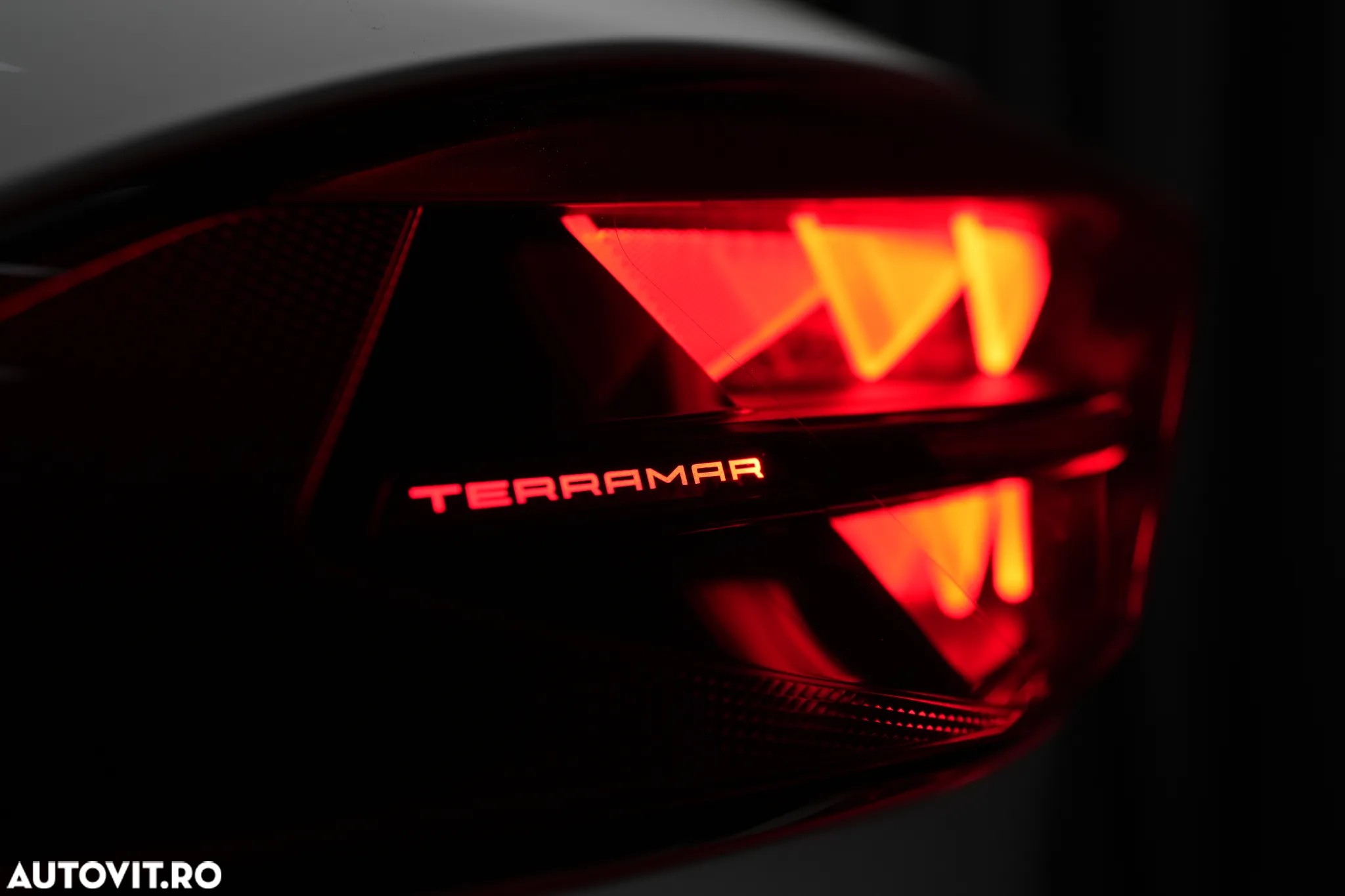 Cupra Terramar - 10