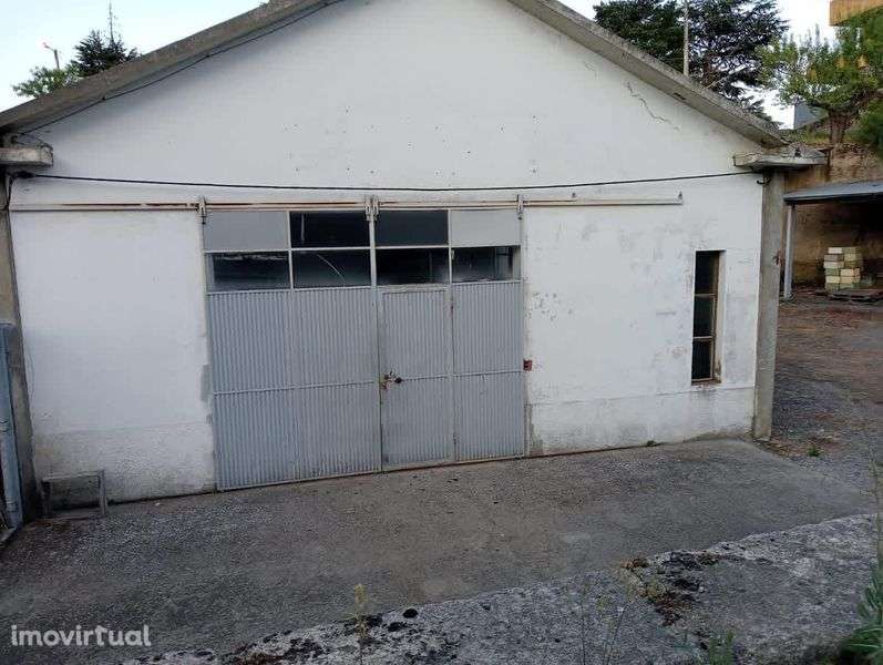 Alugo / vendo armazém situado no Cachao a 10 minutos de Mirandela - Grande imagem: 2/6