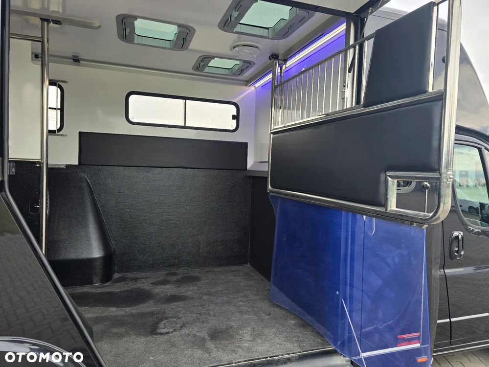 Peugeot Boxer-Koniowóz - 17