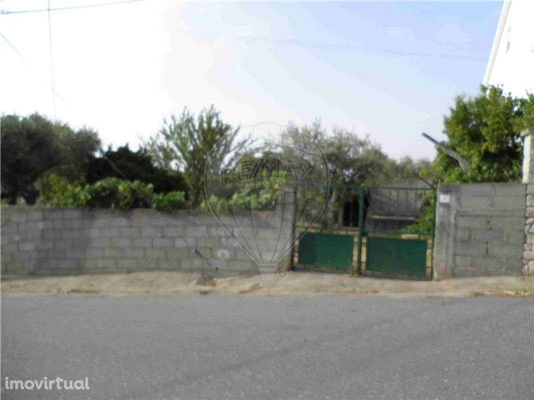 Quinta T0 para venda - Grande imagem: 2/40