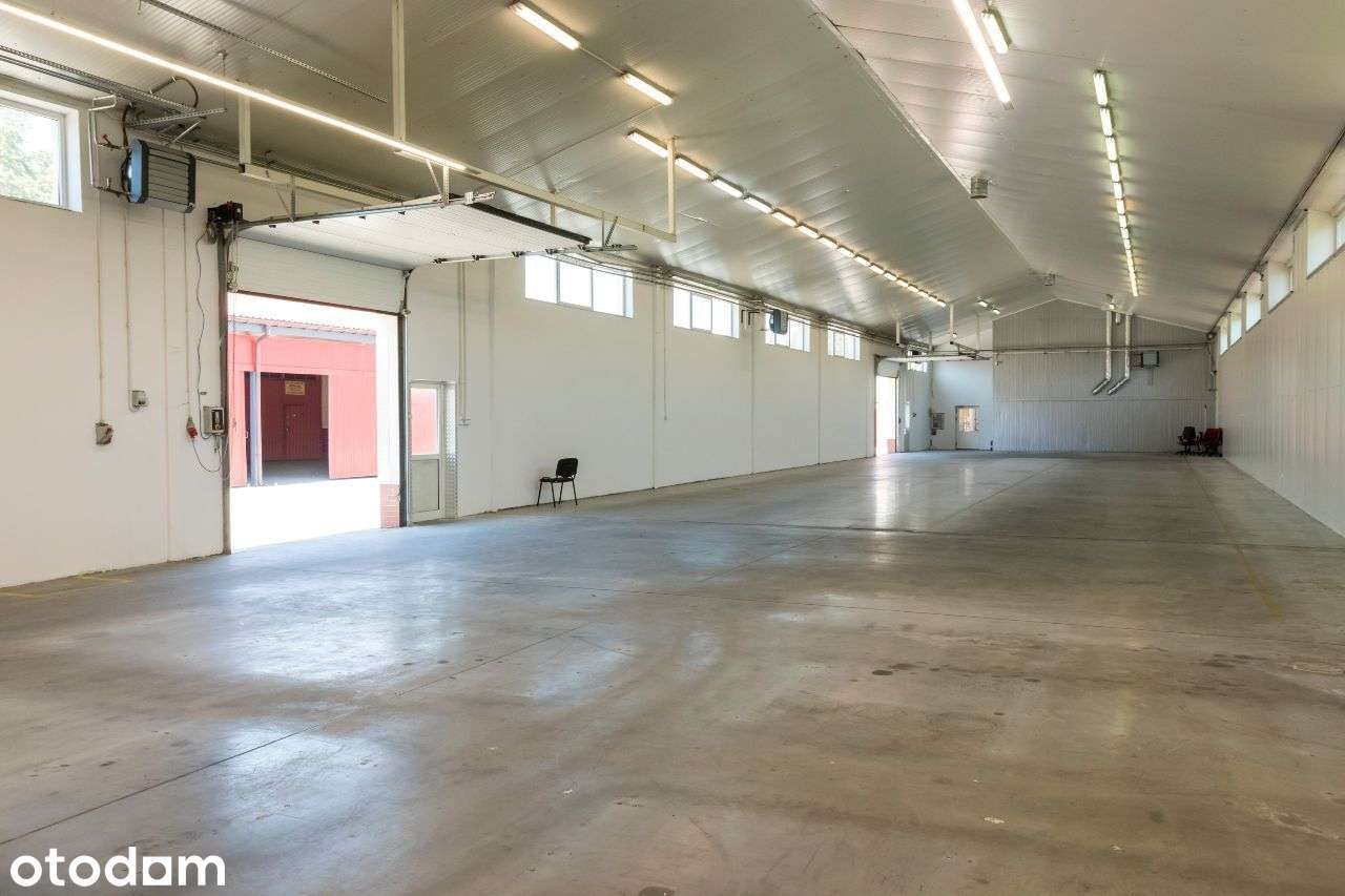 Magazyn, hala, lokal, sklep 1000 m² Szczucin - Pełny obrazek: 3/10