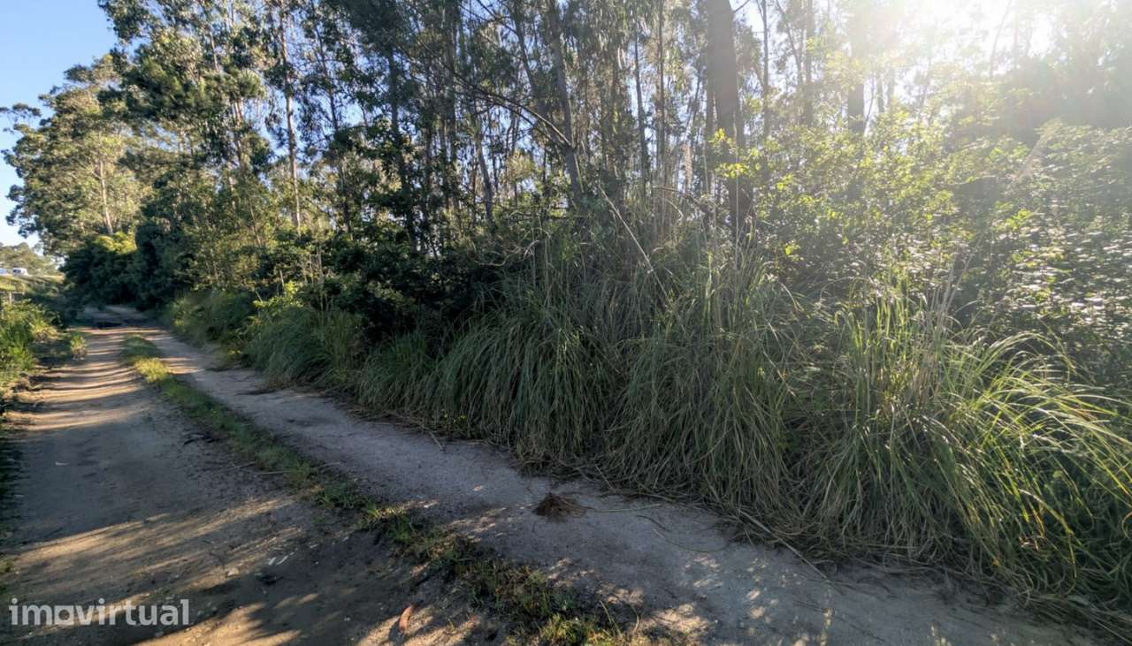 Venda de Terreno com 3300 m2, Modivas, Vila do Conde - Grande imagem: 4/12