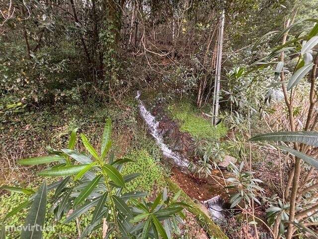 Terreno com 3.700 m2 nas termas de Vale da Mó - Grande imagem: 4/32