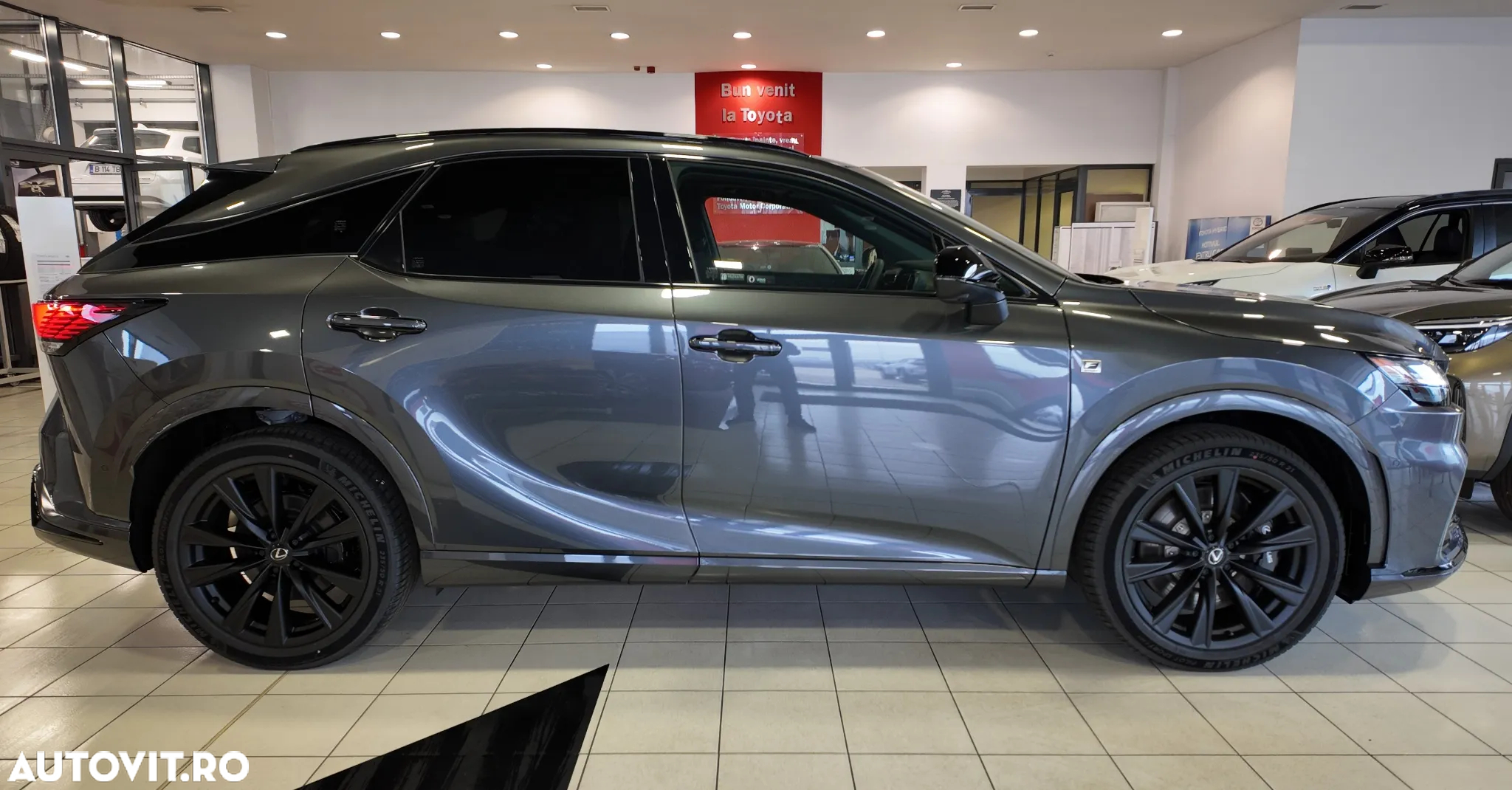 Lexus Seria RX - 8