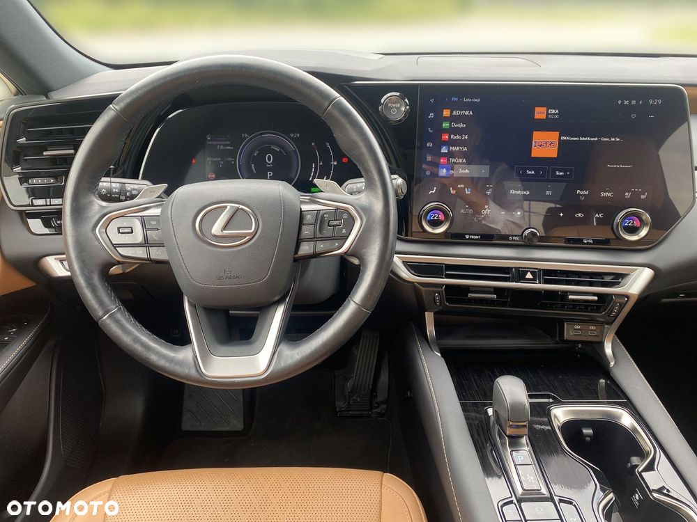 Lexus RX - 17