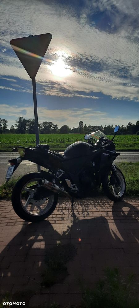 Honda CBR - 19