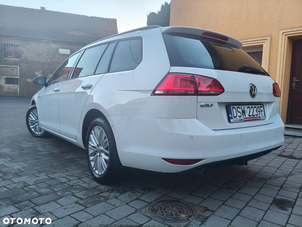 Volkswagen Golf 1.6 TDI BlueMotion Technology Cup - 2