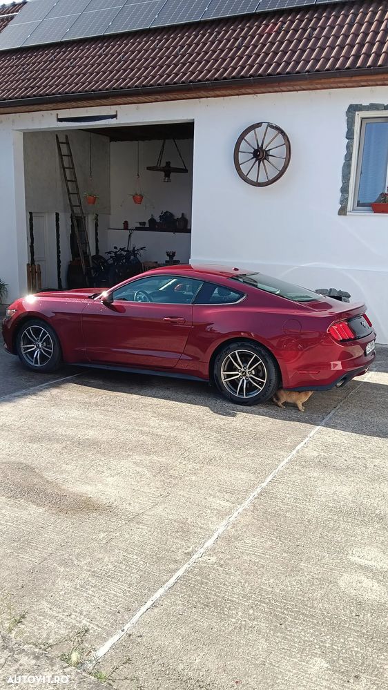 Ford Mustang 2.3 EcoBoost Aut. - 5