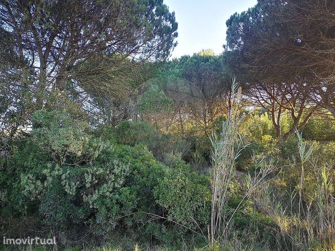 Terreno  para venda - Grande imagem: 3/8