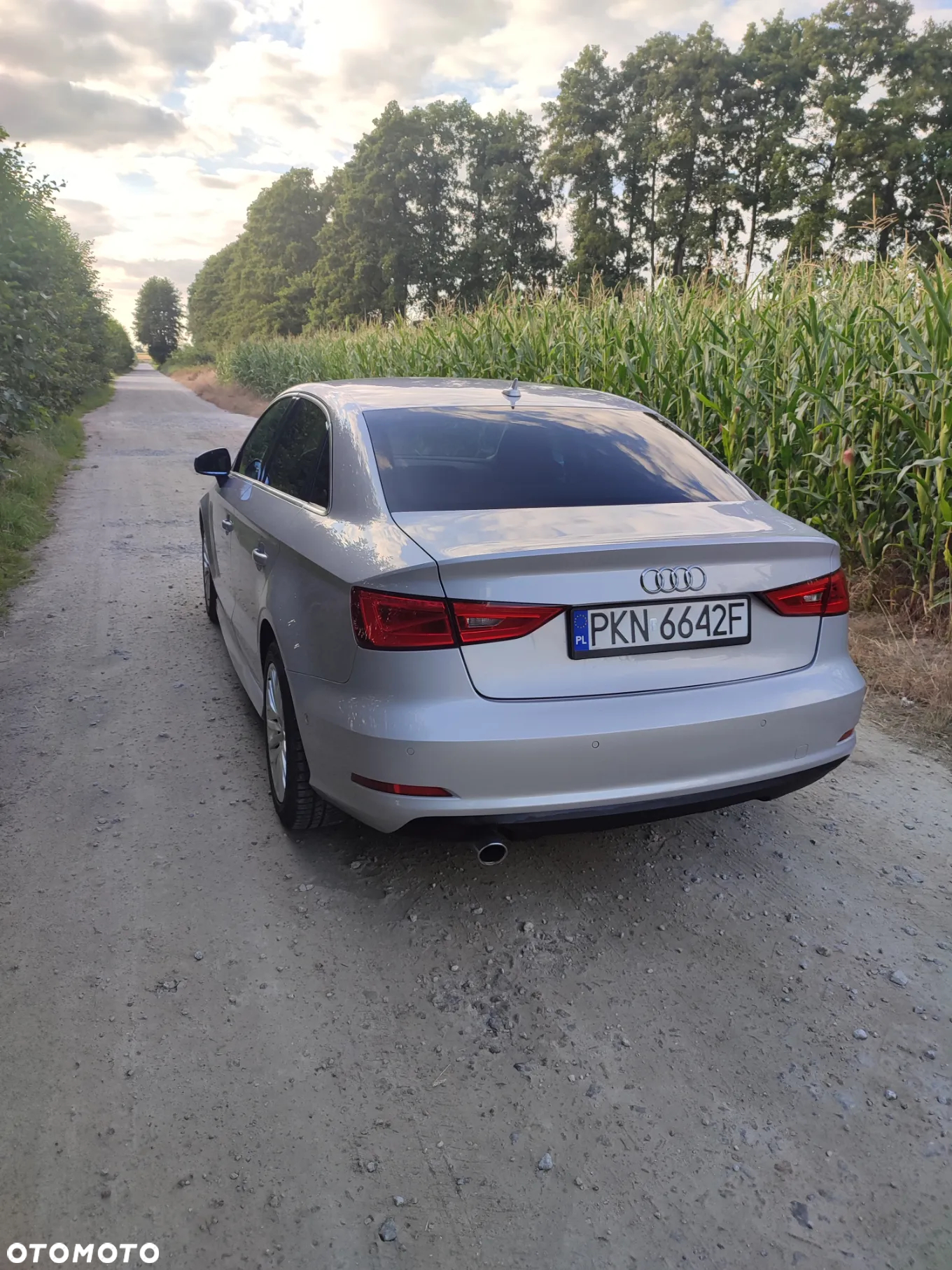 Audi A3 - 15