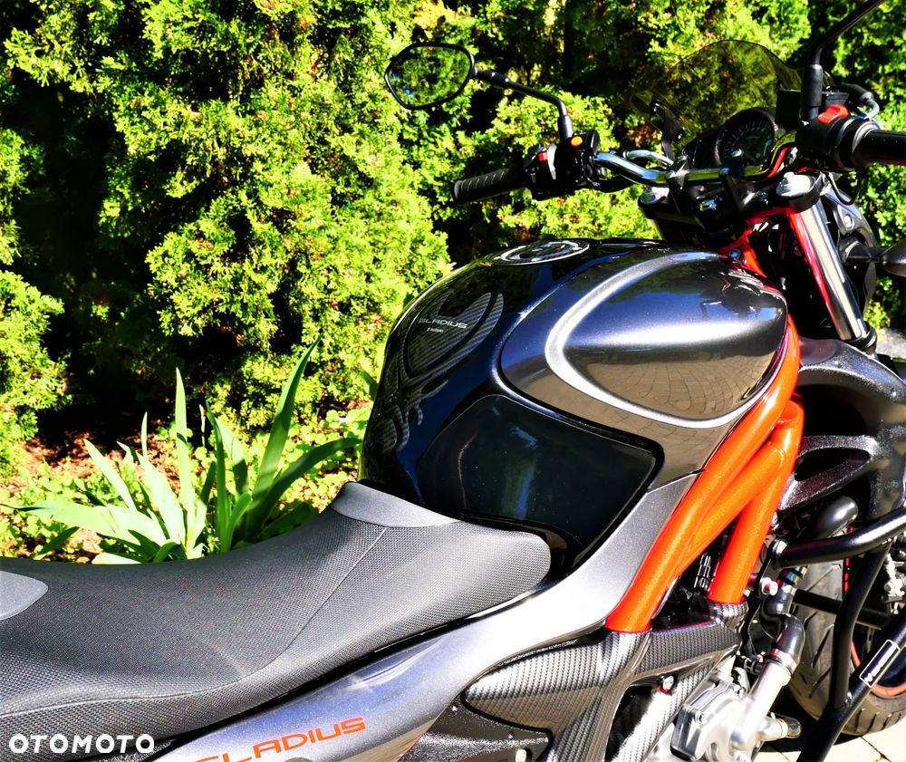 Suzuki Gladius - 21