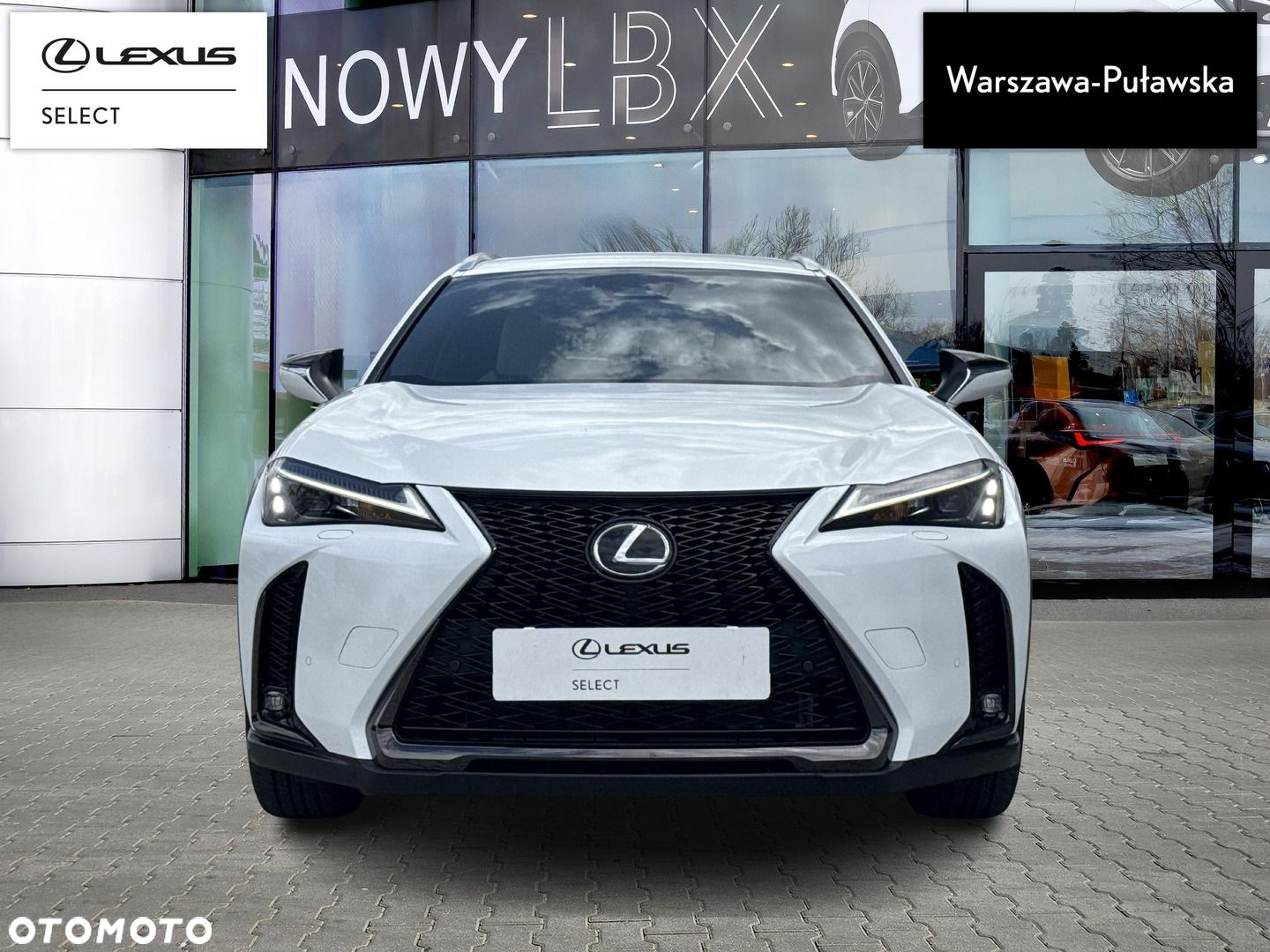 Lexus UX - 6