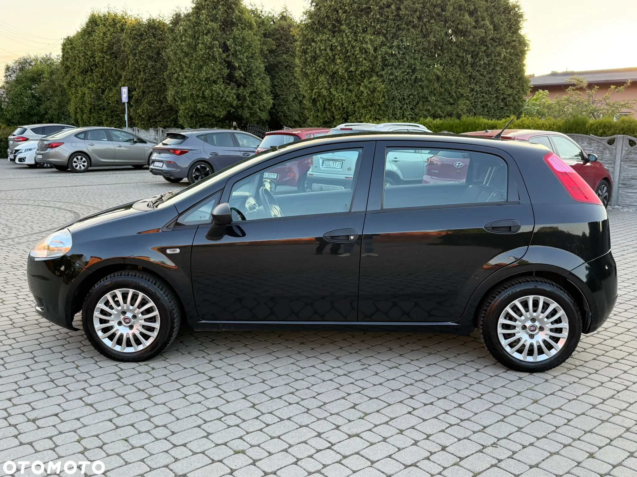 Fiat Grande Punto Actual 1.2 8V Estiva - 4