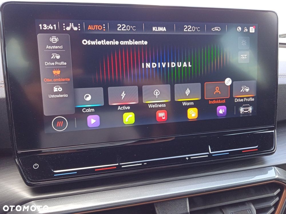 Cupra Formentor 1.5 TSI DSG - 28
