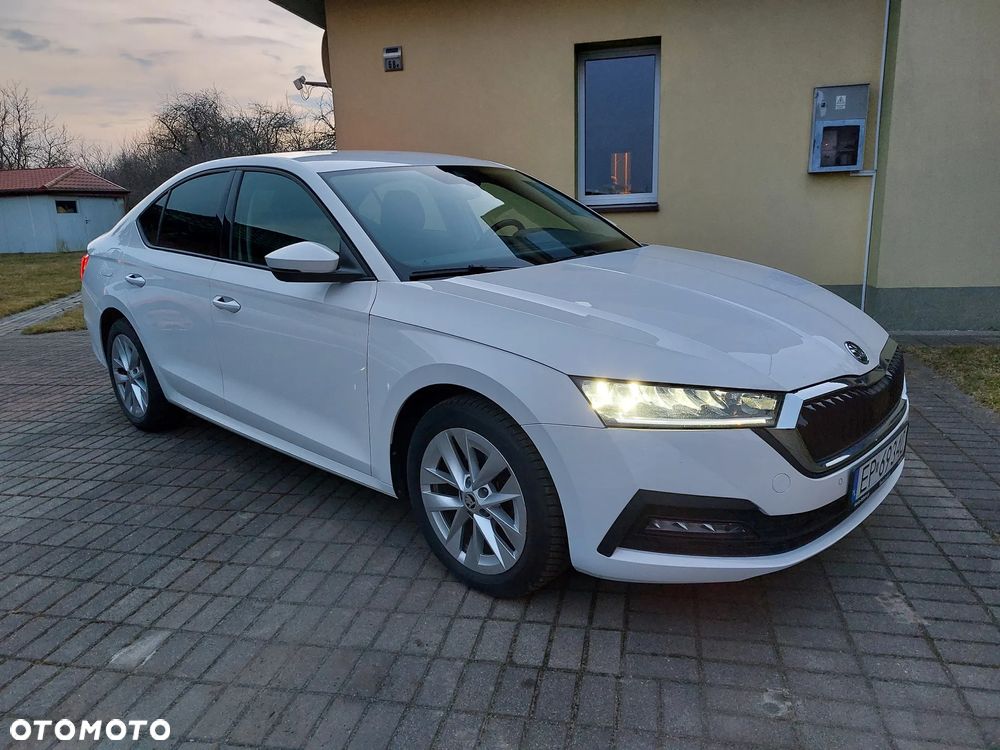 Skoda Octavia - 30