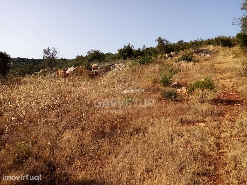 Terreno Rústico perto de Loulé, Loulé, Algarve - Grande imagem: 5/11