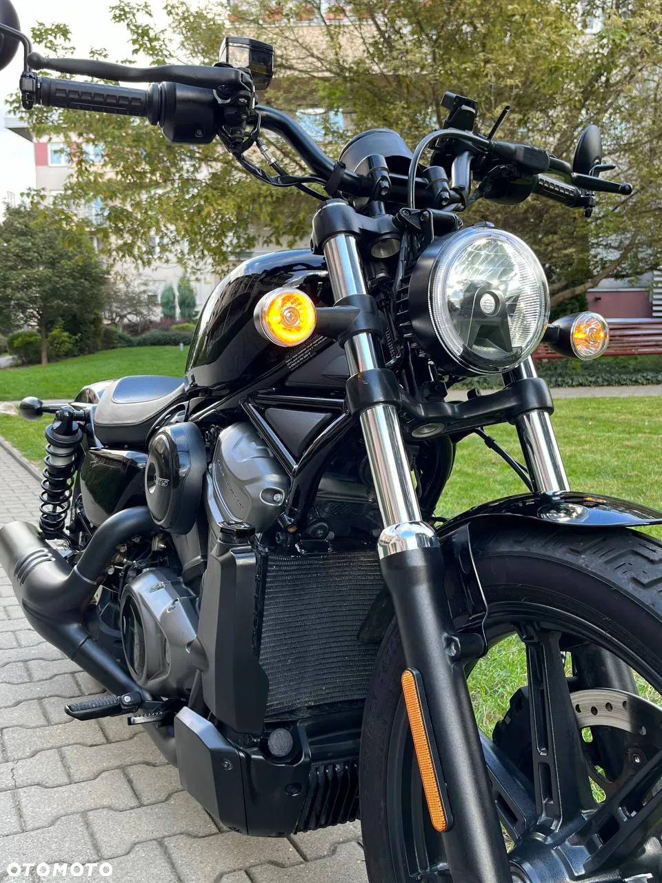 Harley-Davidson Sportster Nightster 975 - 20