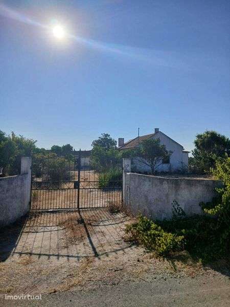 Terreno 2 hectares ótimo investimento! - Grande imagem: 5/9