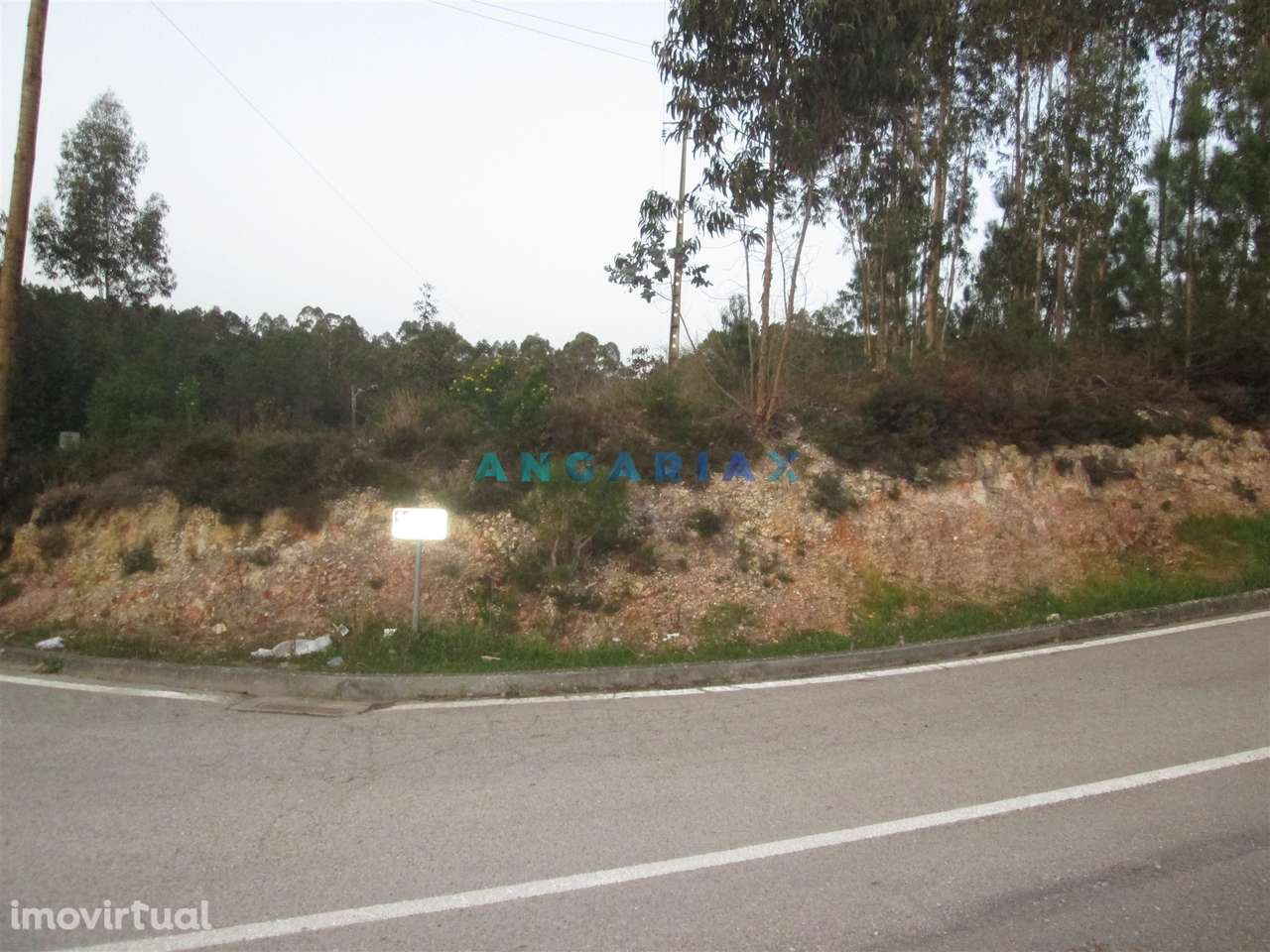 ANG933 - Terreno para Construção com 2664m2 para Venda em Colmeias, Le - Grande imagem: 3/9