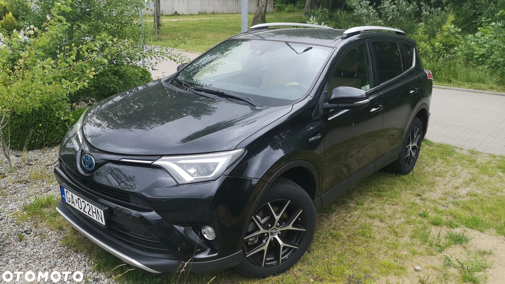 Toyota RAV4 Hybrid Platinum 4x2 - 1