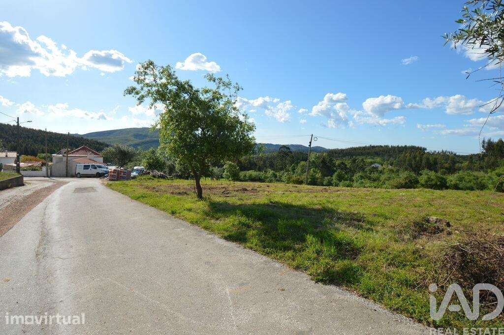 Terreno para construção em São Miguel, Santa Eufémia e Rabaçal - Grande imagem: 3/13