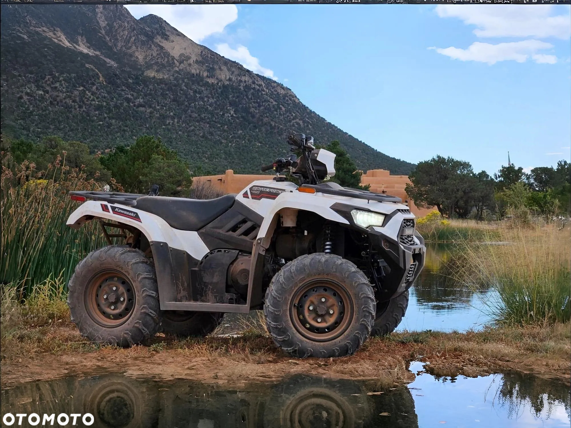 Kawasaki Brute Force - 4