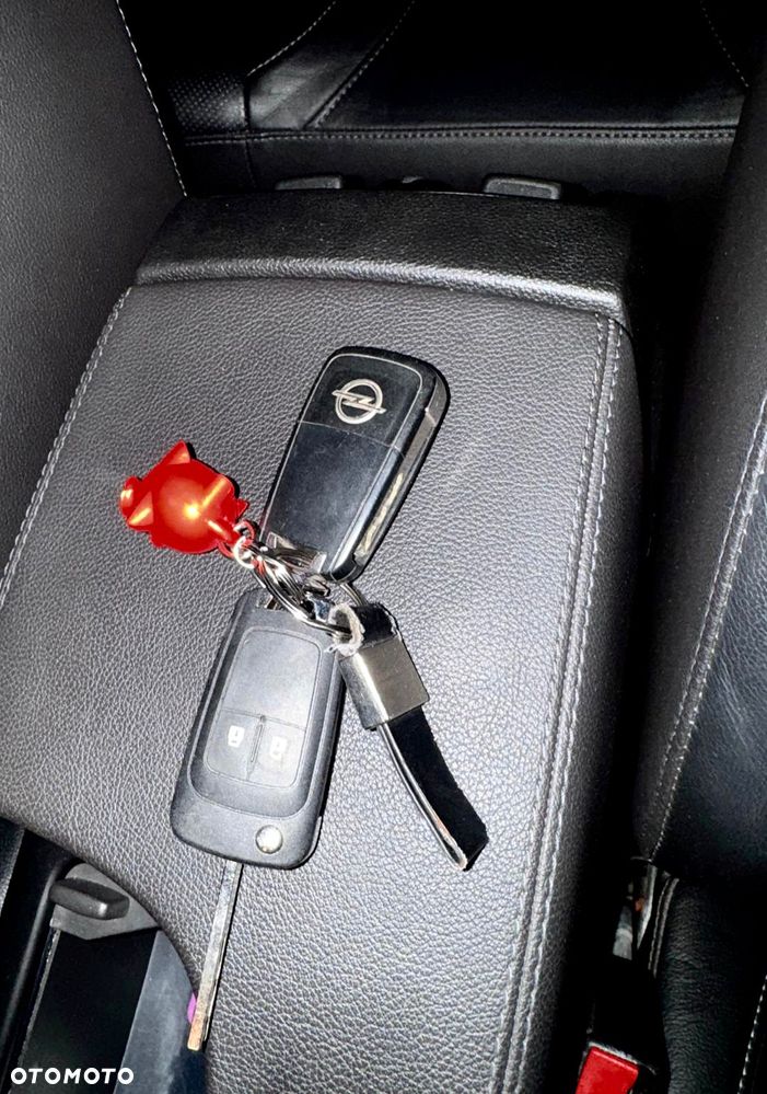 Opel Insignia 2.0 CDTI Sport - 21