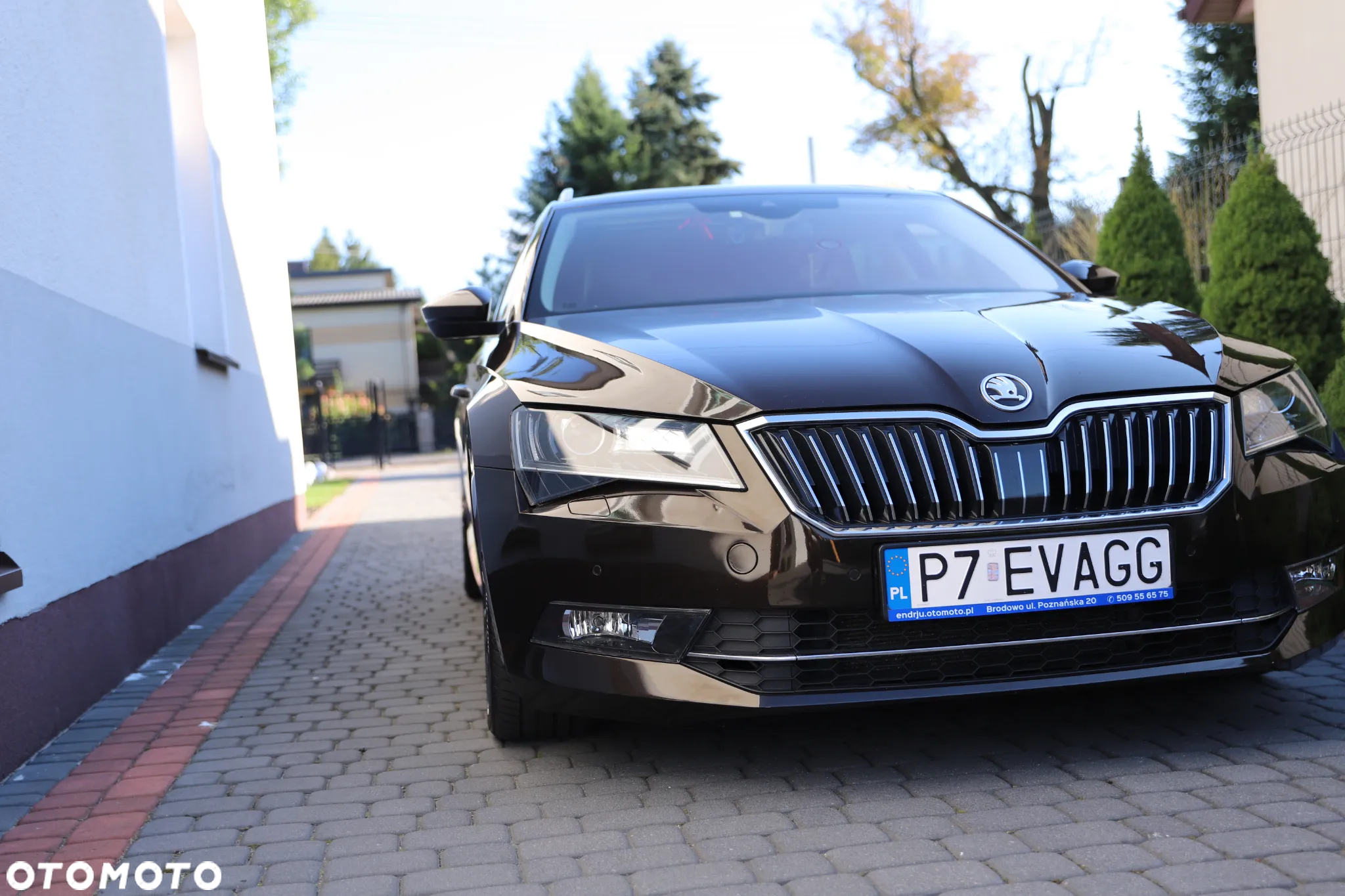 Skoda Superb - 4