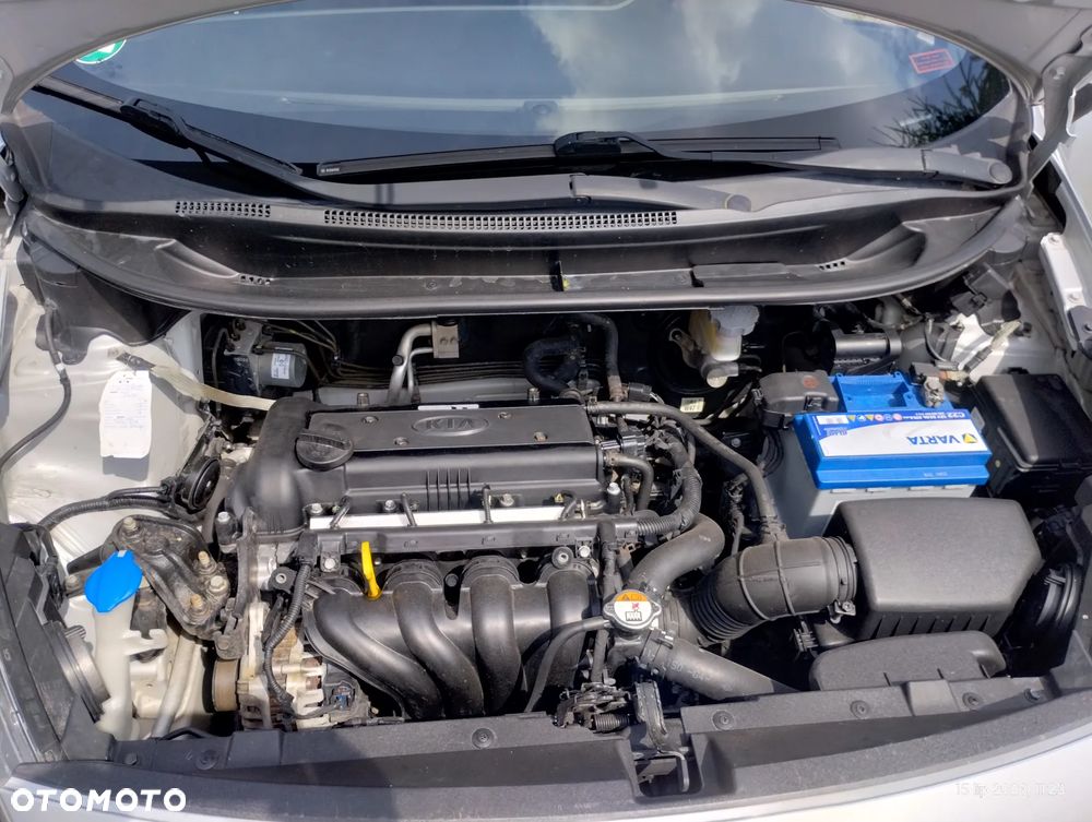 Kia Rio - 37