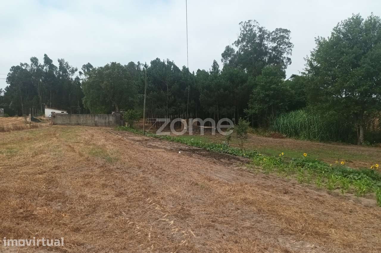 Terreno Agricola em Moita Vaqueira - Arazede - Grande imagem: 3/9