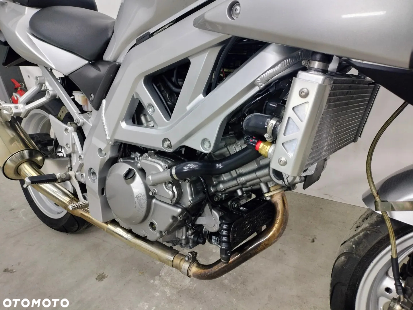 Suzuki SV - 6