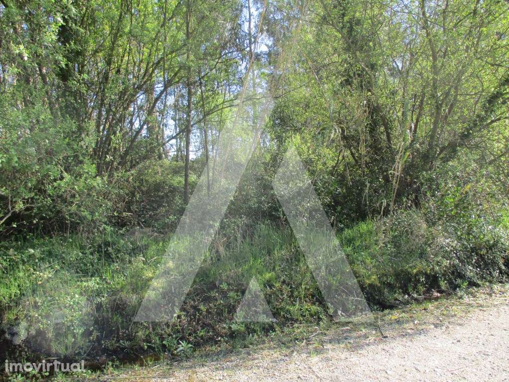 Terreno em Bustos - Grande imagem: 4/8