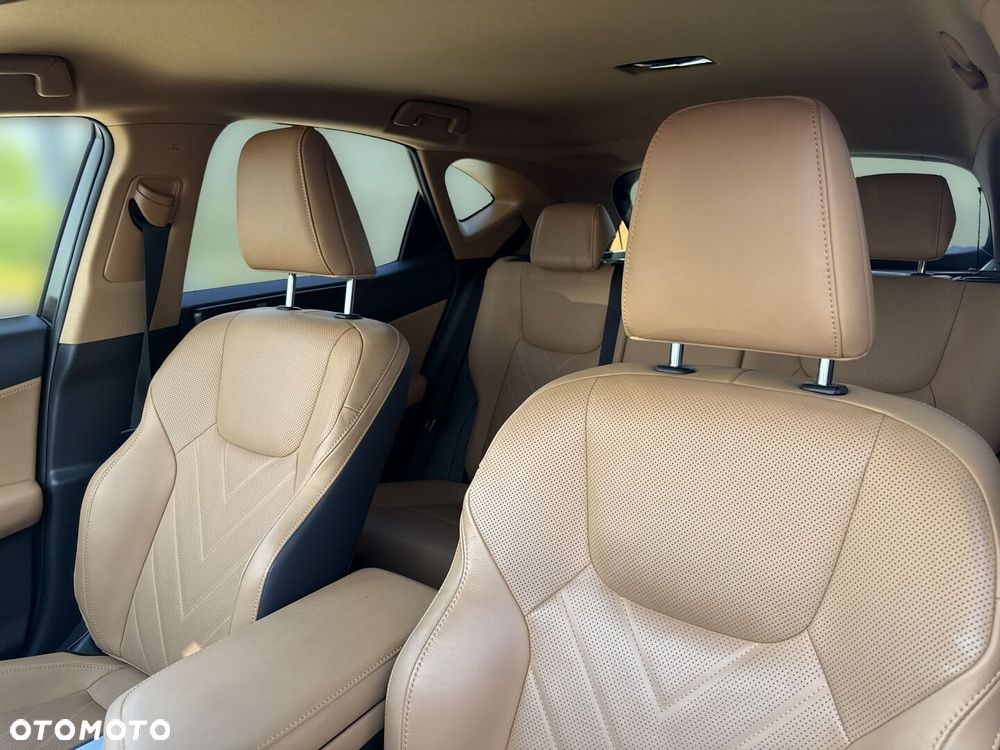 Lexus NX - 12