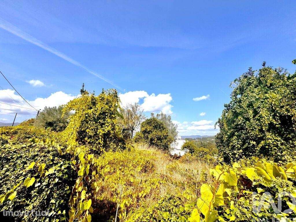 Terreno em Geraz Do Lima (Santa Maria, Santa Leocádia E Moreira) E Deã - Grande imagem: 5/6