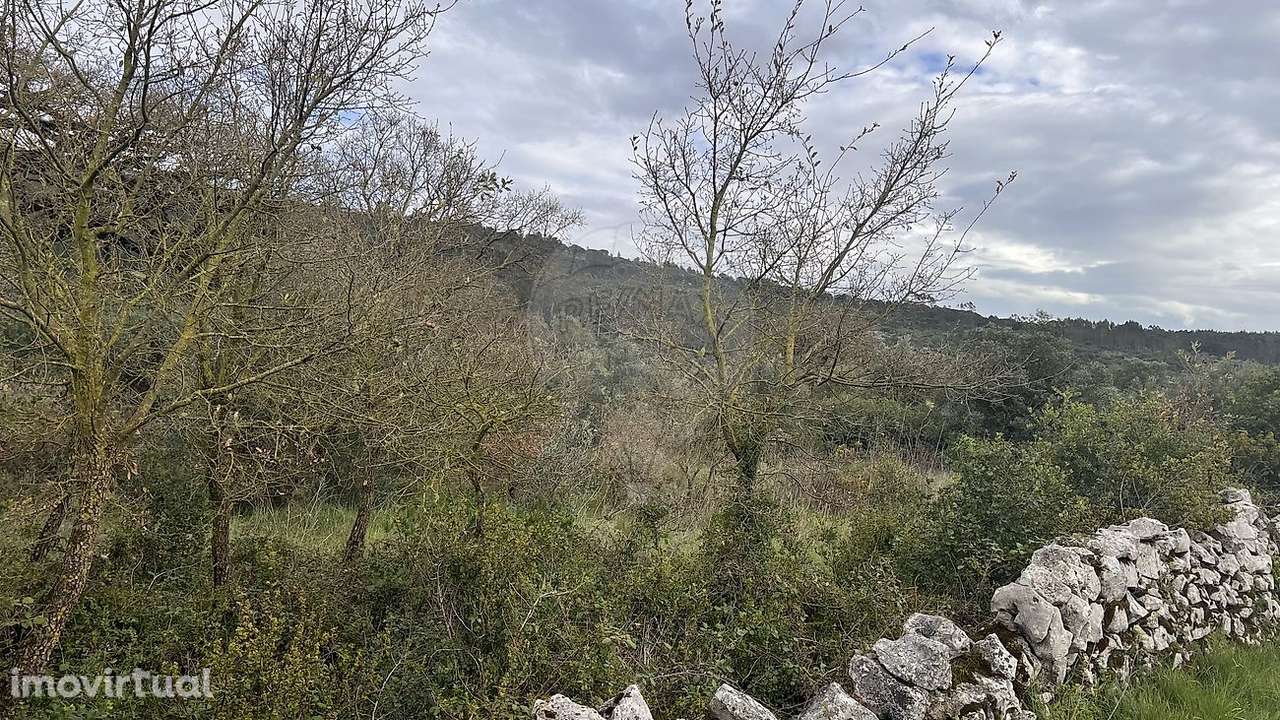 Terreno  para venda - Grande imagem: 4/6