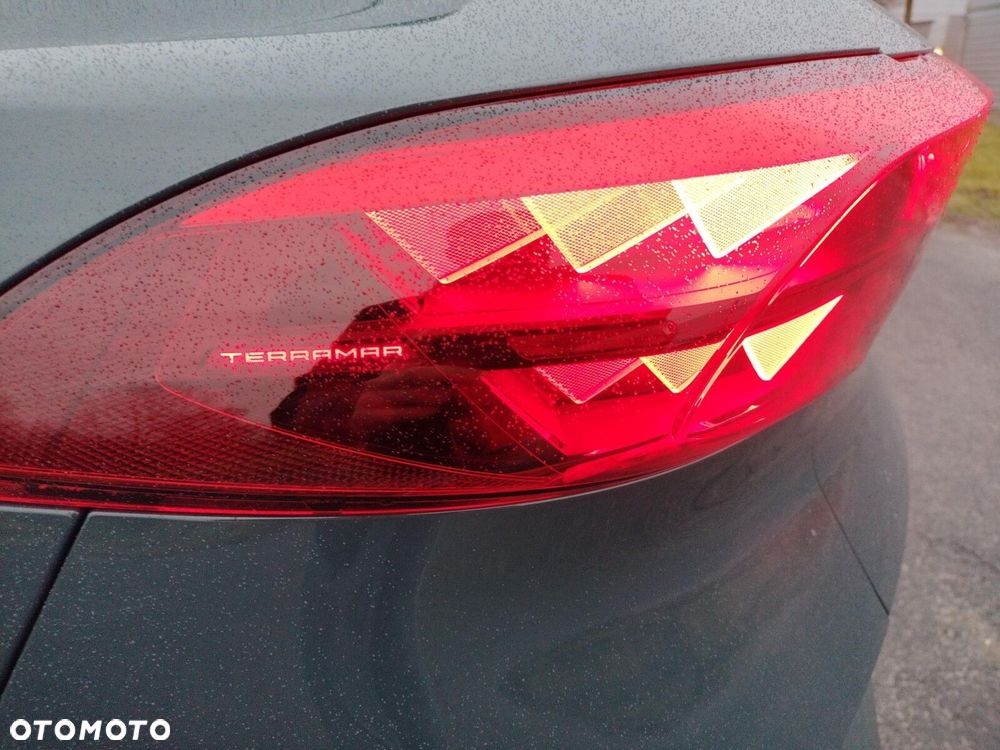 Cupra Terramar - 4