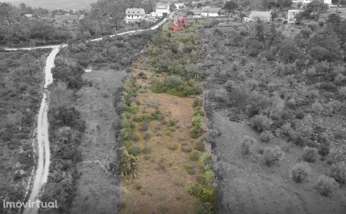 Terreno com Ruína em Alvaiázere! - Grande imagem: 2/18