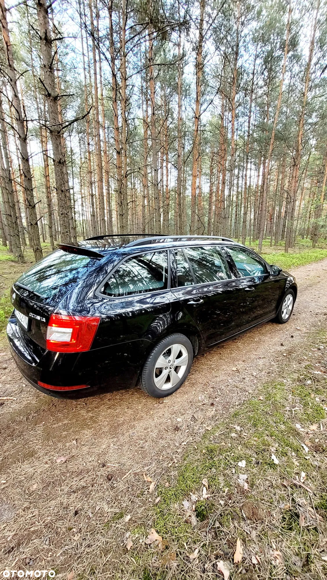 Skoda Octavia - 4